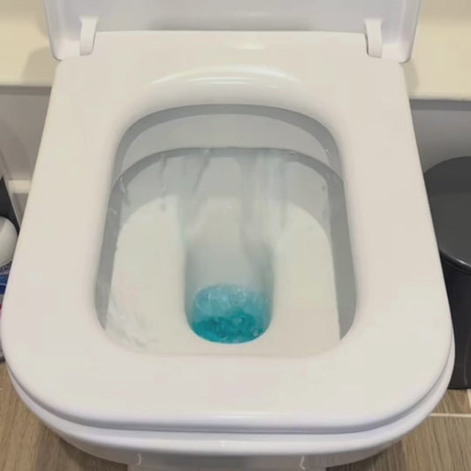 FUSS FREE FLUSH - BUY 1 GET 1 FREE